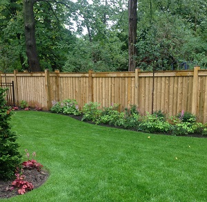 cedar fences toronto